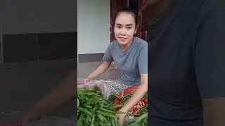 ครัวแม่น้องถิงถิงTing Ting's Mom Kitchen กำลังถ่ายทอดสด!