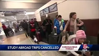 Schools urged to cancel trips abroad