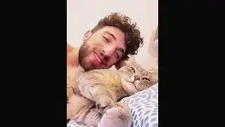 This Cat Thinks It&rsquo;s Human 😹 | You Won&rsquo;t Believe What It Does #funnycats #cat #meow 