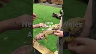 🇦🇺Sydney Easter Show 2025 #australia #travel #aussie #indonesia #sydney#easter #eastershow #aussie
