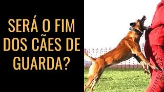 Ser&aacute; o FIM DOS C&Atilde;ES DE GUARDA?