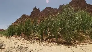 Crossing Wadi Dissa - Tabuk region