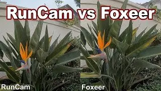 Foxeer Mix vs RunCam Split Mini // SBS Comparison 📷