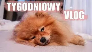 TO CO, KUPUJEMY MIESZKANIE? | VLOG