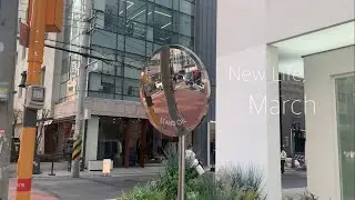 （Eng）ソウル大生の３月(雪の新学期／1人漢江／ソンスのヴィンテージショップ/ソウル大入口駅カフェ)