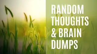 Random Thoughts/ Brain Dump pt.1