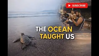 A Ride to Dapoli That Turned Into a Life Lesson | Beach Ride, Brotherhood & Turtles 🐢🏍️