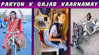 Viral Funny Videos on Internet Part 17 | Most Funny Moments Caught on Camera | Funny Videos