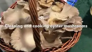 Cleaning and cooking oyster mushrooms