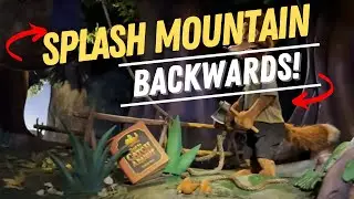 Splash Mountain - Magic Kingdom Backwards