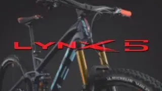 In the New | Lynx 5