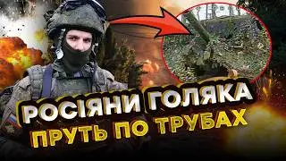 🙈 ТІКАЮТЬ ПО ГАЗОВИХ ТРУБАХ! 30 ЧОВНІВ НА ДНІ, ЛІСИ ЗАБИТІ ТРУПАМИ РФ! Кадри ЗАЧИСТКИ @Novynarnia