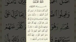 Surah MuhammadSurah Number: 47Revealed in: MadinahVerses: 38#tilawat #quranrecitation #foryou