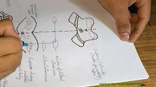 AUDITORY PATHWAY by Dr.Abhishek kumar