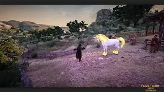 BDO DarK Knight PvP#9