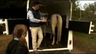 Floating your horse - All About Animals TV Show
