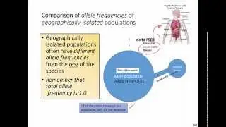 Comparison of Allele Frequencies of Geographically Isolated Populations (IB Biology)