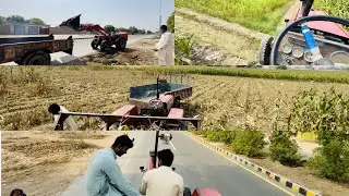 Mf385 tractor makii da wad 🔥 Karta km a v😜 #vlog #subscribe #tractor #trending