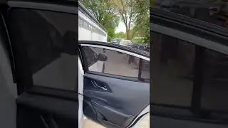 Zasłonki na magnesach do auta #toyotaprius od RayStop 👍