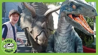 Dinosaurs & Jurassic World the Ride! Dinosaur Theme Park for Kids with Indominus Rex, T-Rex & Raptor