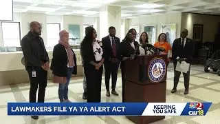 T'Yonna Major's family pushes for 'Ya Ya Alert Act' at state capitol after deadly shooting