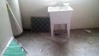 1176 Winston move in insp