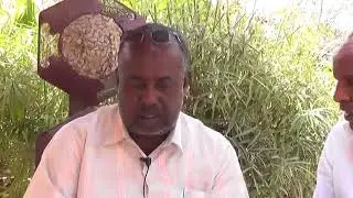 Alfanaan Abwaan Bashiir Xadi Oo Ka Sheekeeyey Taariikhdii Marxuun Axmed Siciid Af-Gudhiye