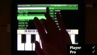 Video #2 -- Player vs Pro