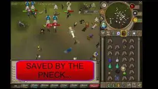Pure Pking 2012