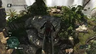 Gameplay Assassin's Creed IV: Black Flag #104