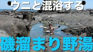 【南紀勝浦】磯溜まりなのに温泉!?ウニ＆小魚と混浴する野湯【和歌山】