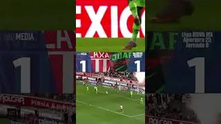 Necaxa 1-1 Ju&aacute;rez | Un empate que sabe a poco para los Rayos