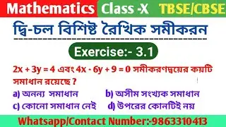 pair of linear equations in two variables class 10 । class 10 maths। linear equations