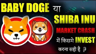 Baby Doge or Shiba Inu where should we invest? | baby doge coin news today | crypto news today