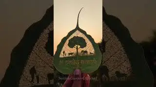 #amritadevi #bishnoi #bishnoisamaj #hasdevforest