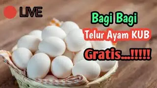 🔴LIVE, NGOBROL BARENG