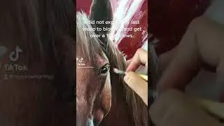 Horse Painting in Acrylic - Creator Life