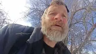 Ябълката и нейната сила и красота.