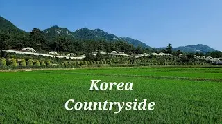 Discover Korean Rural Areas  | Korean Village Life Part - 2 | South Korea Village life | Mountains