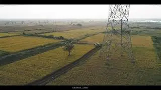 Agriculture | Devdurga | Paddy Farms