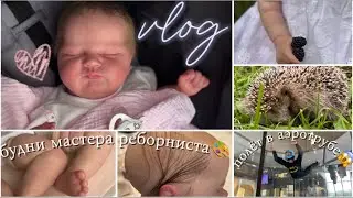 ВЛОГ С ДВУМЯ РЕБОРНАМИ НА ДАЧЕ🏠БУДНИ МАСТЕРА РЕБОРНИСТА🎨НАШЛИ ЕЖИКА🦔ПОЛЁТ В АЭРОТРУБЕ🪽НОВЫЙ КОМОД👍