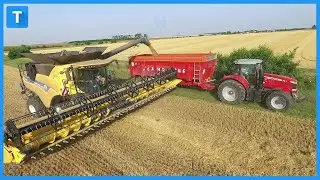 Wheat and Canola Harvest From Harvest to Store House Complete Process!!