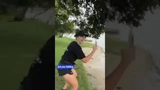 Shark Spotted Circling Flooded Creek On The Gold Coast | 10 News First