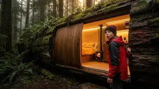 Carving a Secret Luxurious Modern Shelter Inside a GIANT Ancient Tree Log &ndash; You Won't Believe This
