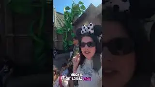 Who doesn&rsquo;t love a little Pixie Dust? When we are in Magic Kingdom a stop at Sir Mickey&rsquo;s is a must