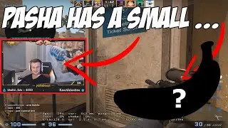 THROWING A PRO MATCH ?! PASHA HAS A SMALL WHAT ? WTF CS:GO ! - CS:GO TH#13