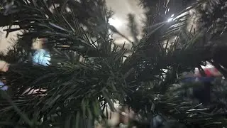Close-Up Christmas Tree ASMR | Soft Focus & Tingly Sounds ✨🎄🤶