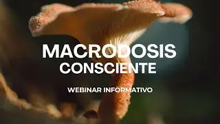 MACRODOSIS CONSCIENTE | Medicinas Ancestrales &ndash; Webinar Informativo