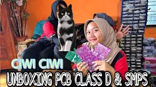 Unboxing PCB Class D UcD2000 Fullbridge