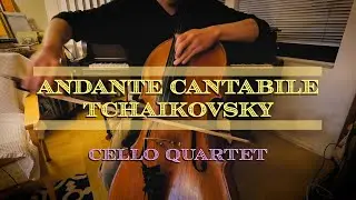 Andante Cantabile -Tchaikovsky